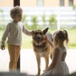Prong Collars (ClicLock) Quick-Release Prong Collars: Safer, Faster, Easier 17 children-boy-girl-playing-with-dog-coming-inside-house