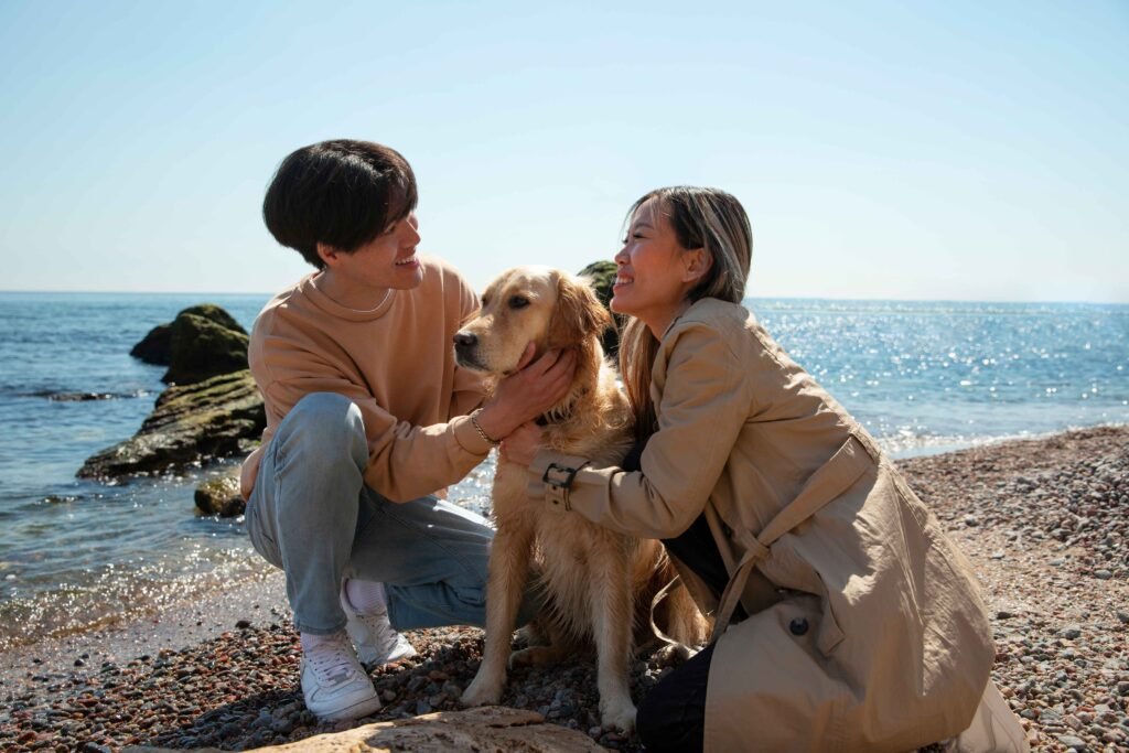 Magnetic Leash Connectors: The Easiest Way to Clip On 2 full-shot-romantic-couple-seaside