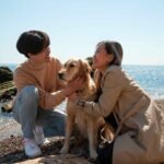 Magnetic Leash Connectors: The Easiest Way to Clip On 18 full-shot-romantic-couple-seaside