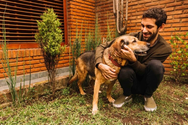 Why Quick-Release Dog Leashes Make Walks Safer and Easier 6 lovely-dog-posing-garden