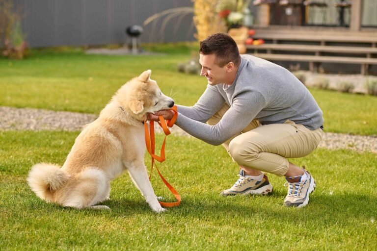 LED vs Reflective Dog Collars: What is Better for Your Pup? 5 smart-dog-sideways-camera-joyful-young-adult-man-crouching-touching-friendly-smart-dog-with-leash-near-country-house-autumn-day