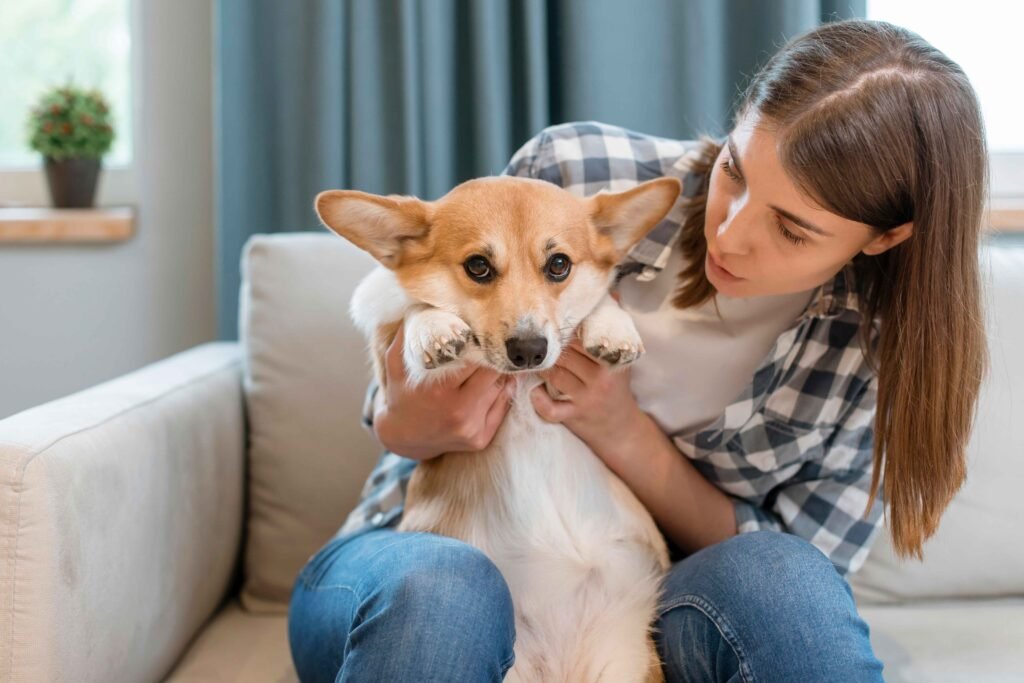How to Find An Adjustable Dog Collar That's Right For Your Best Friend 5 photo-of-front-view-woman-couch-with-her-dog