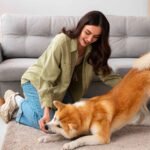 5 Best Collars for Labrador Retrievers: Escape-Safe 1 photo-of-lifestyle-person-creating-content-with-their-pet