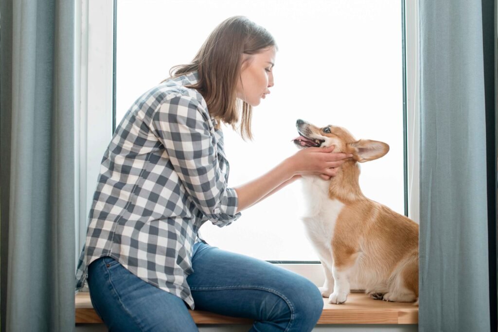 Best Yellow Collar and Leash Sets: Reflective, LED-Ready, Matchy 2 photo-of-side-view-woman-with-her-dog-front-window