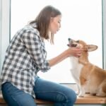 Best Yellow Collar and Leash Sets: Reflective, LED-Ready, Matchy 2 photo-of-side-view-woman-with-her-dog-front-window