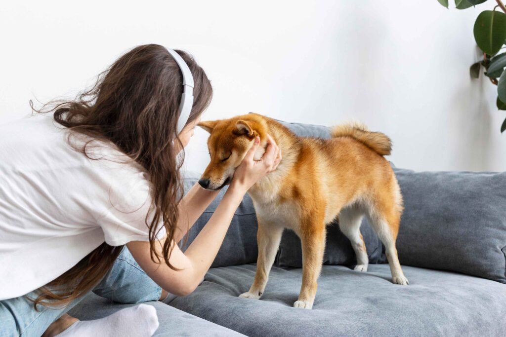 5 Best Black Dog Collars for Safe Night Walks 1 photo-of-woman-spending-time-together-with-her-dog