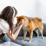 5 Best Black Dog Collars for Safe Night Walks 2 photo-of-woman-spending-time-together-with-her-dog
