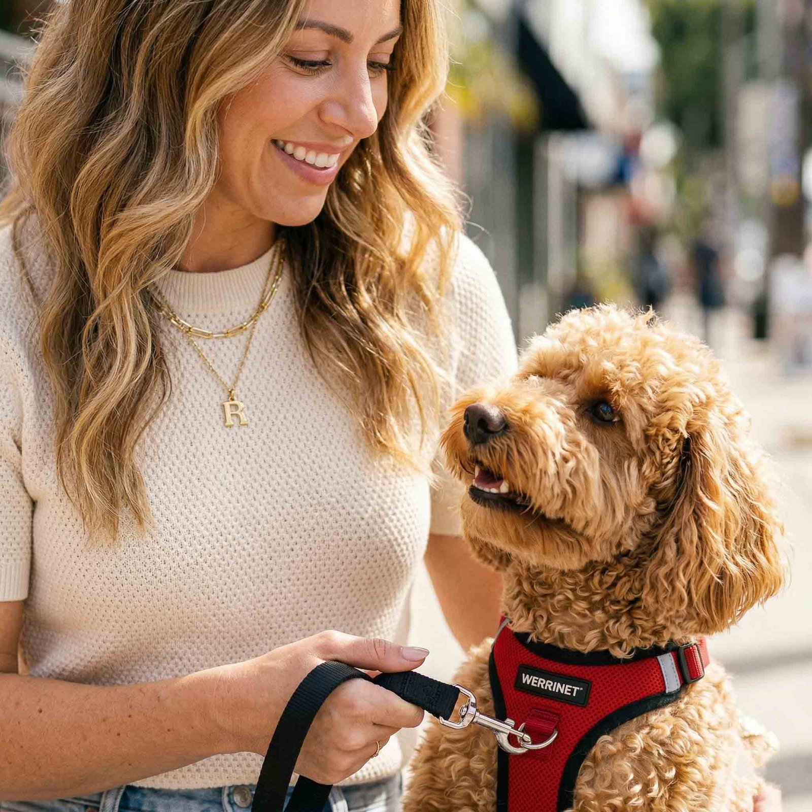 What Real Dog Owners are Saying About Broca's Top Picks 9 9. Jessica H. Luna Los Angeles CA