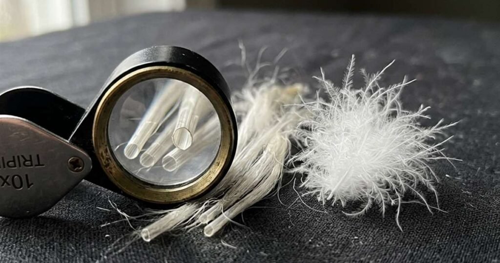 kapok-fiber-vs-down-cluster-macro