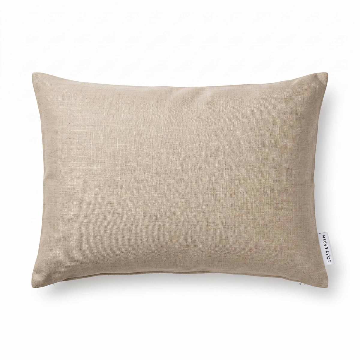 Cozy Earth Silk Pillow