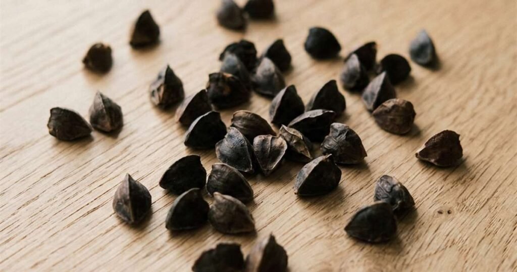 How Long Do Buckwheat Pillows Last? Maintenance & Refill Guide 1 handful of fresh buckwheat hulls scattered on a flat light wood surface showcasing 9 how long do buckwheat pillows last maintenance refill guide