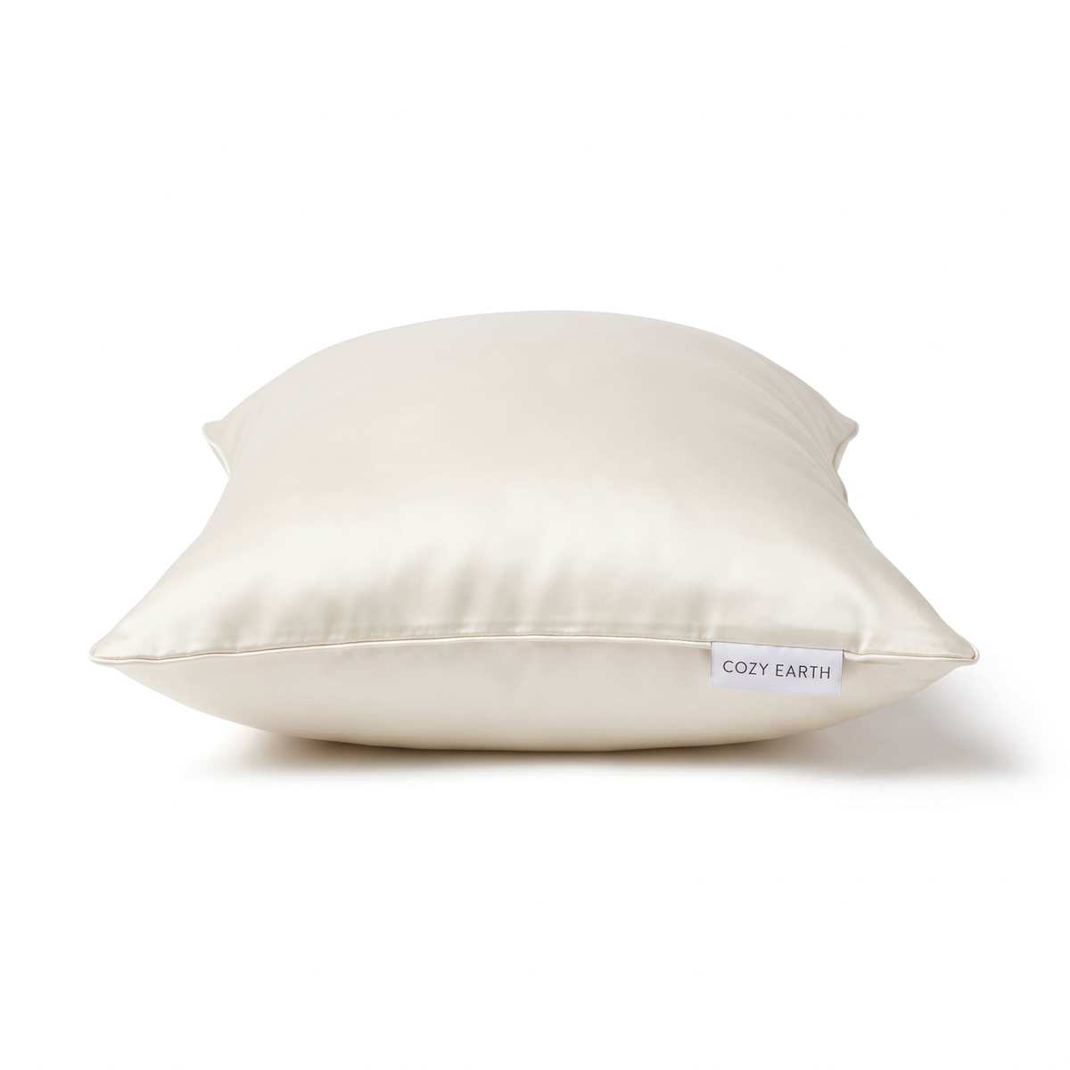 Cozy Earth silk pillow